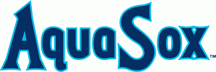 Everett AquaSox 2010-Pres Wordmark Logo vinyl decal